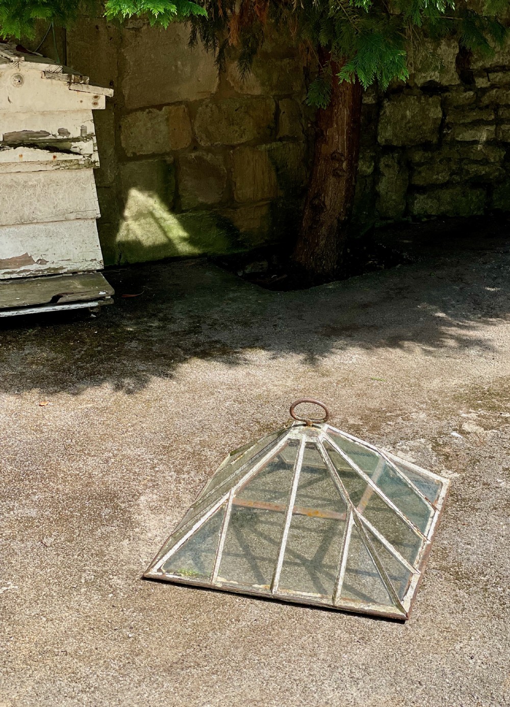Garden Cloche View IV
