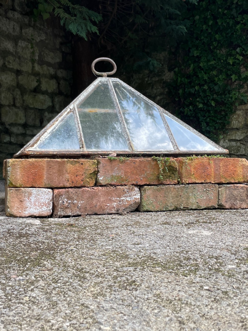 Garden Cloche View X
