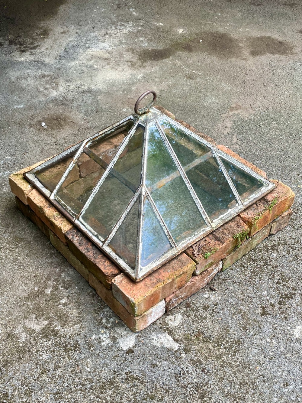 Garden Cloche View XI