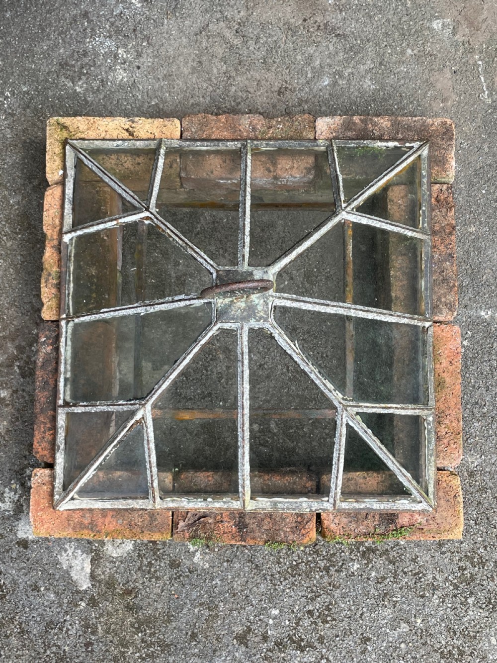 Garden Cloche View XII