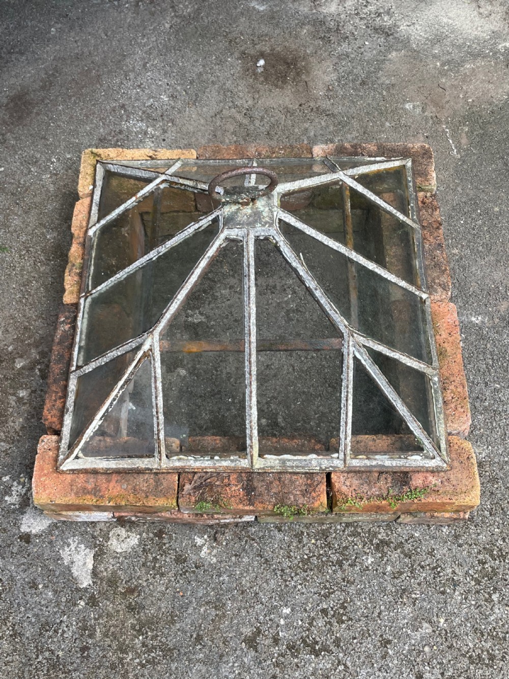 Garden Cloche View XIII