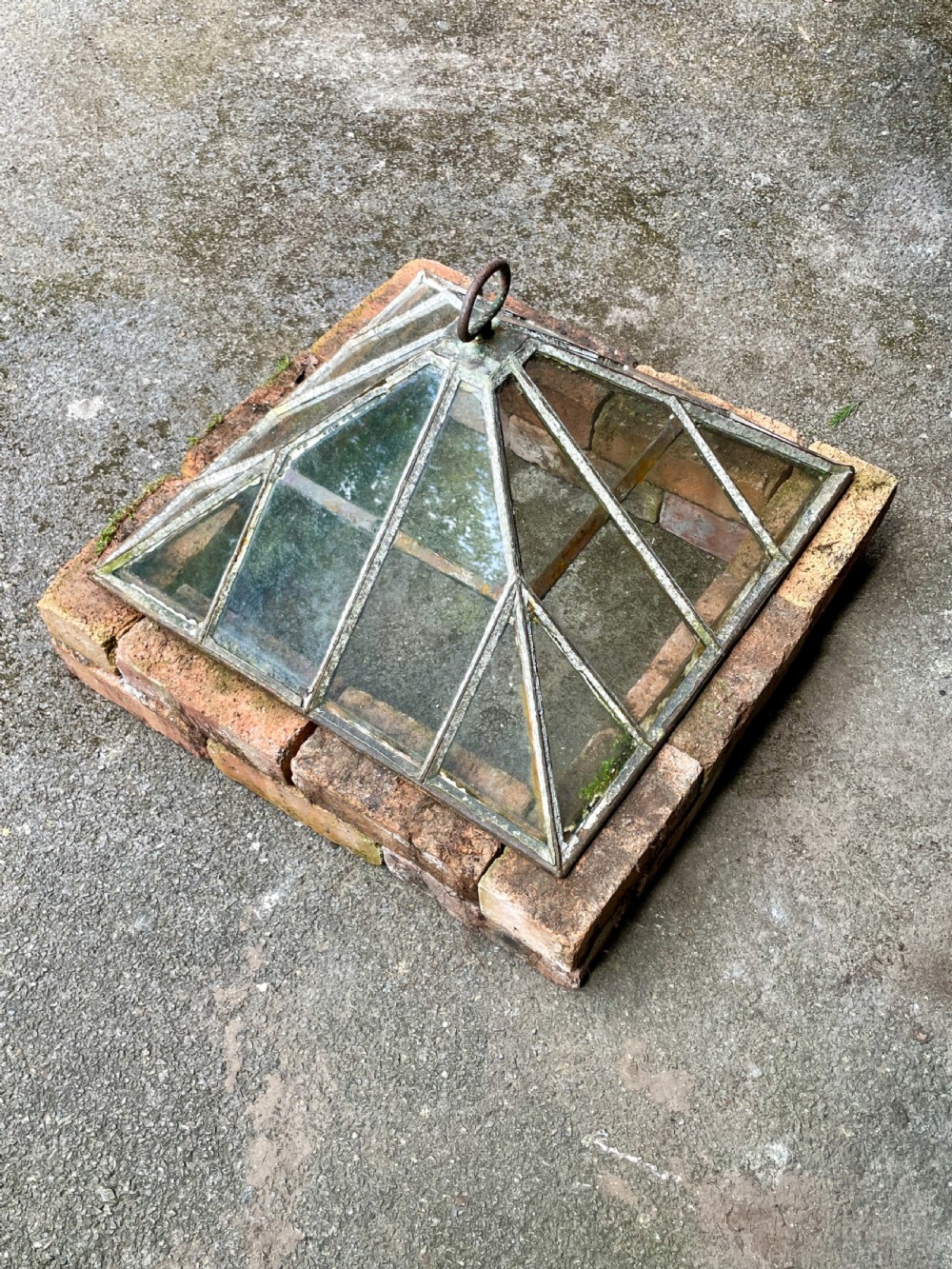 Garden Cloche View XIV