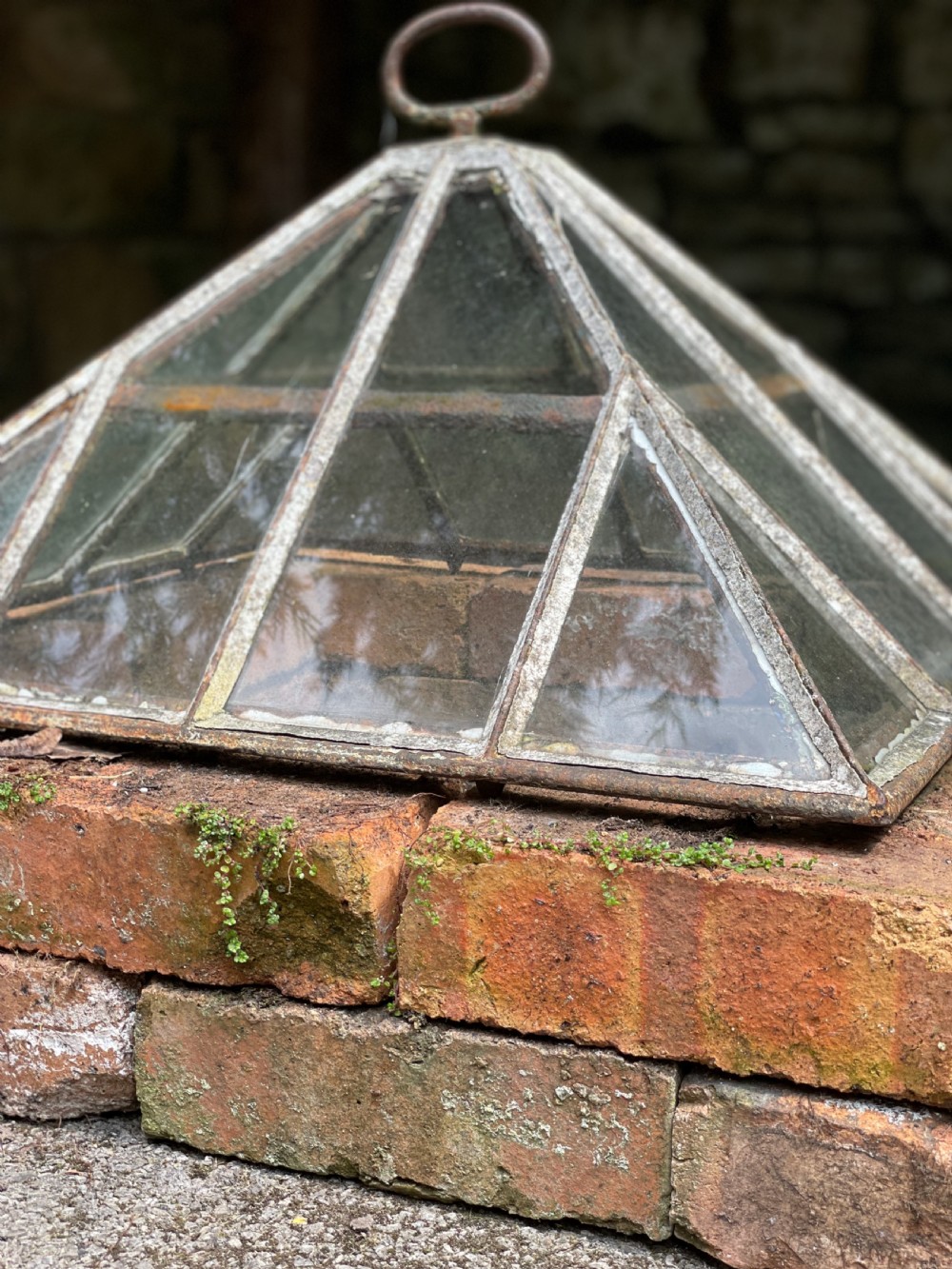 Garden Cloche View XVI