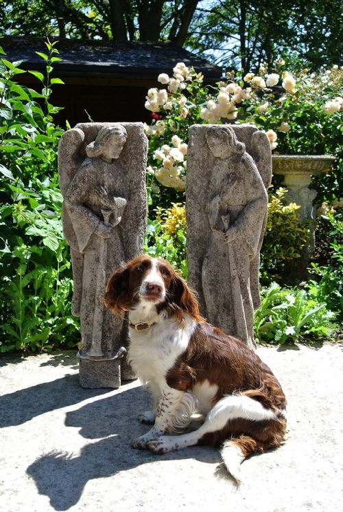 fig 2. Mystery 18th Century Carved Limestone Angels