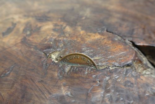 fig 1. Primitive Antique Solid Burr Walnut Bench or Table with Copper Penny c. 1940