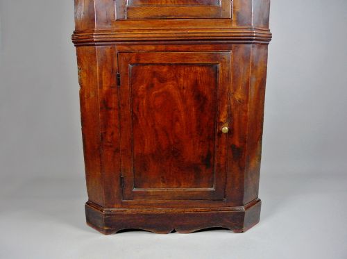 fig 3. Radiant George III Solid Elm Corner Cupboard c. 1800