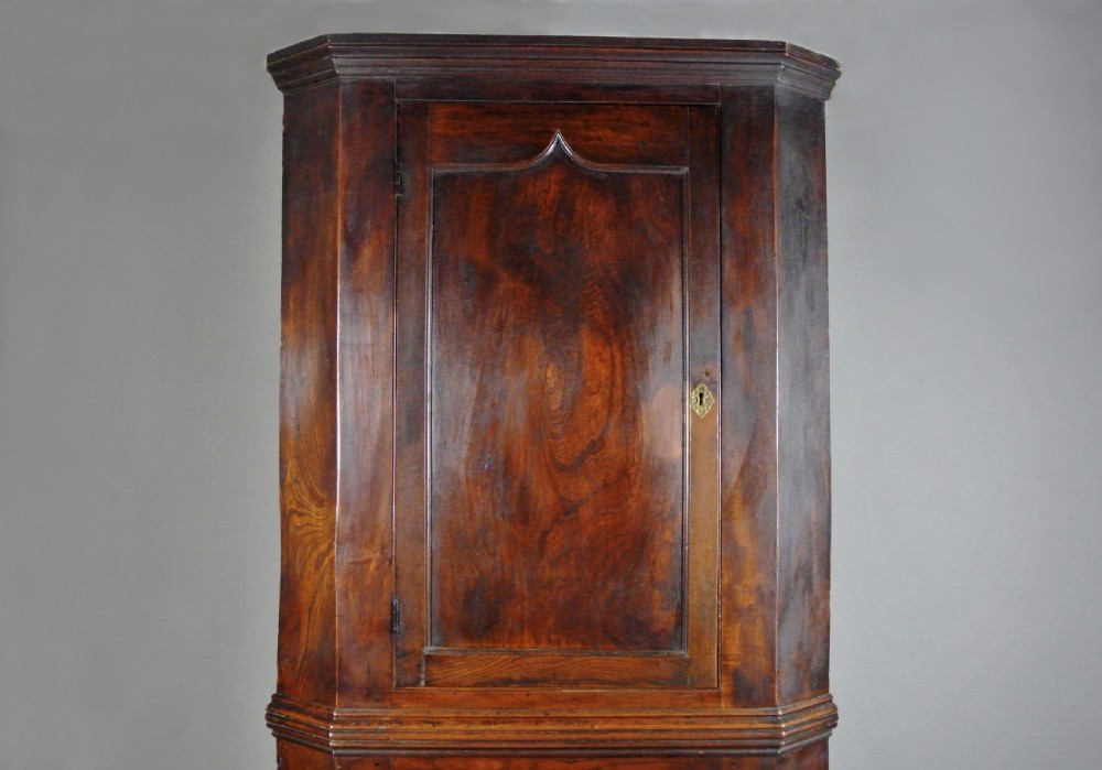 Radiant George III Solid Elm Corner Cupboard c. 1800 View VII
