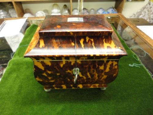 Quality Tortoise Tea Caddy