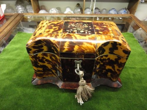 Tortoise Shell Tea Caddy