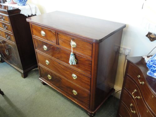 Mahogany Chest of Drawers