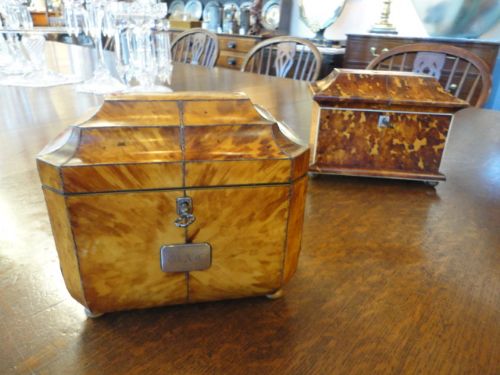 George Iiii Blonde Tortoise Shell Tea Caddy