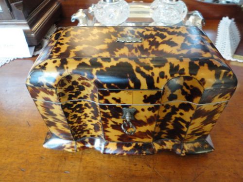 Quality Tortoise Shell Tea Caddy