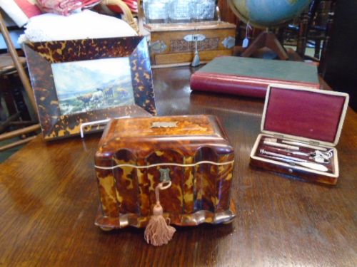 Super Tortoise Shell Caddy