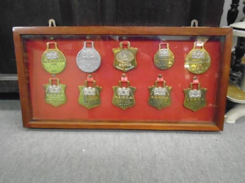 Presentation Horse Brasses