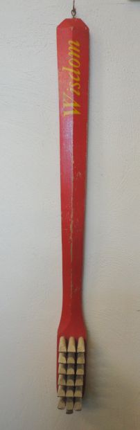 Wisdom Toothbrush