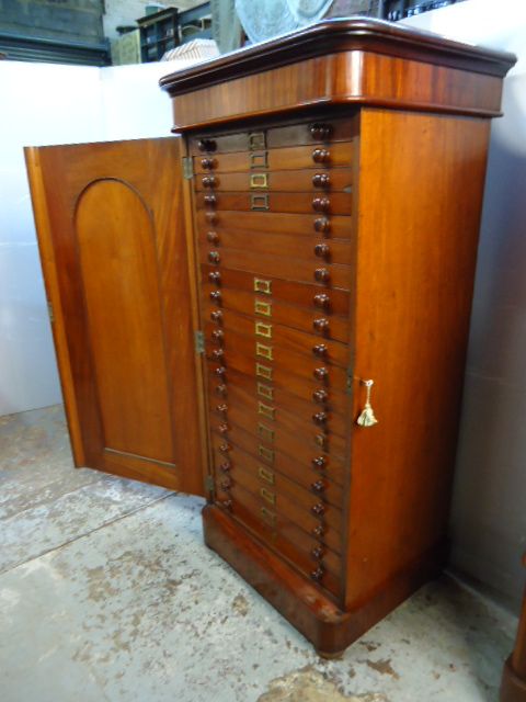 Mahogany Collectors Cabinet