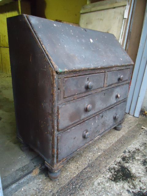 Pine Bureau