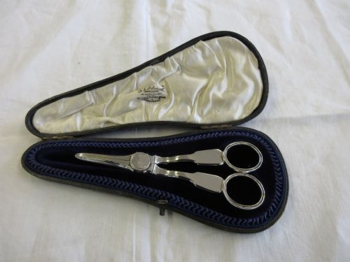 Silver Grape Scissors