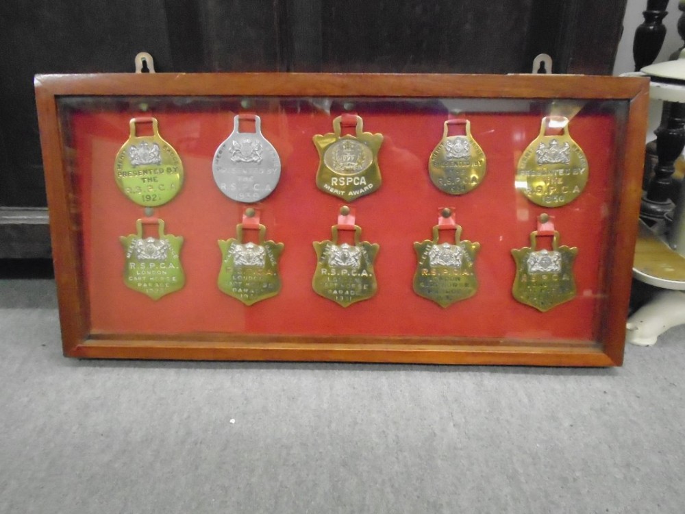 Presentation Horse Brasses 