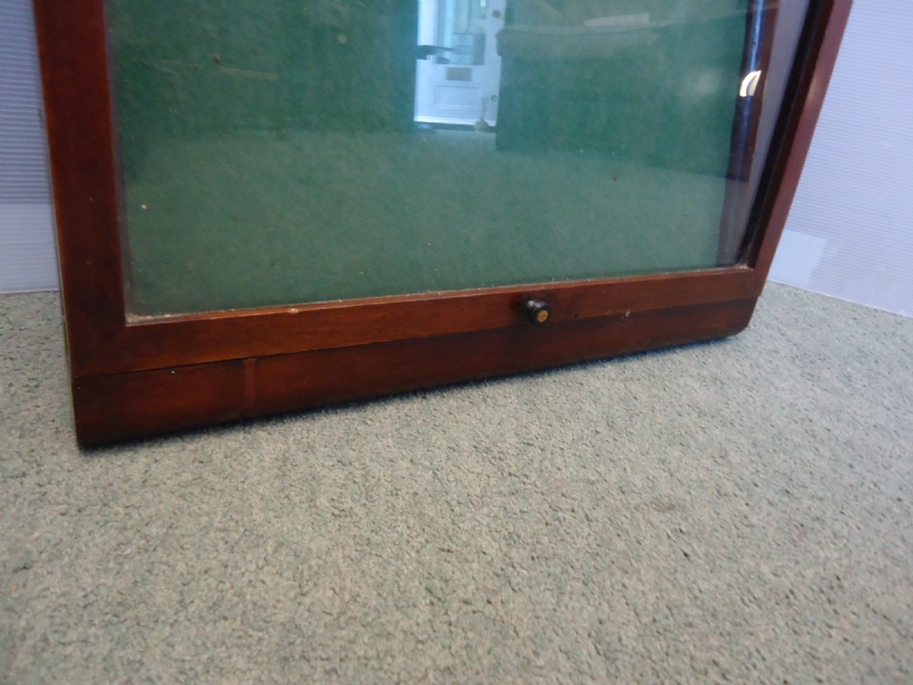Display Cabinet View VII