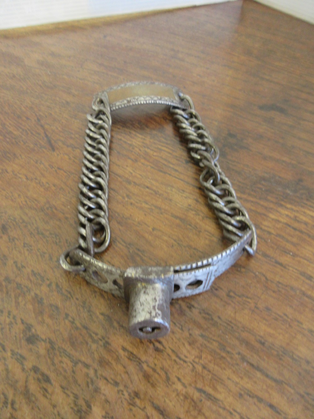 Steel Dog Collar & Key