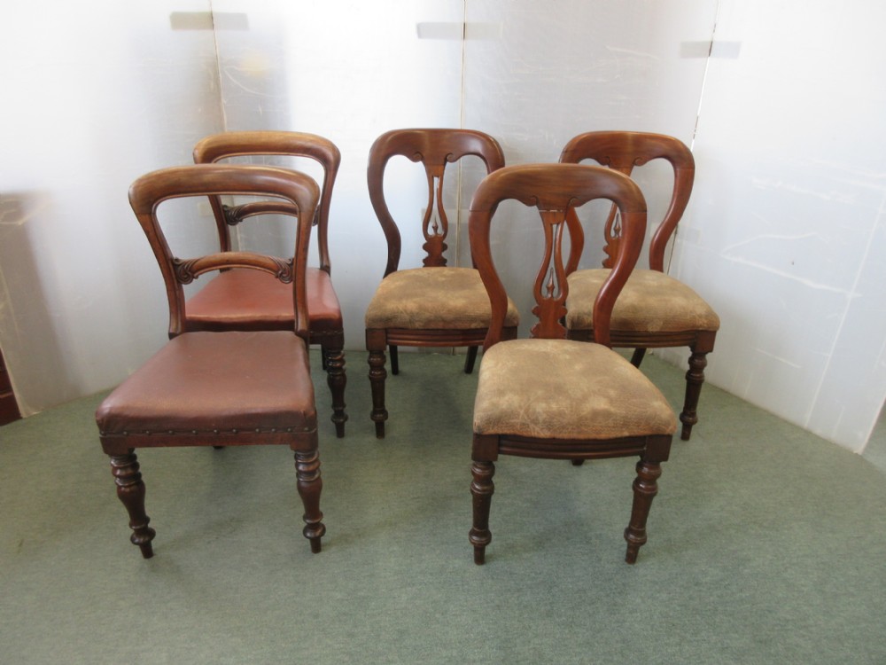 5 Mahogany Chairs