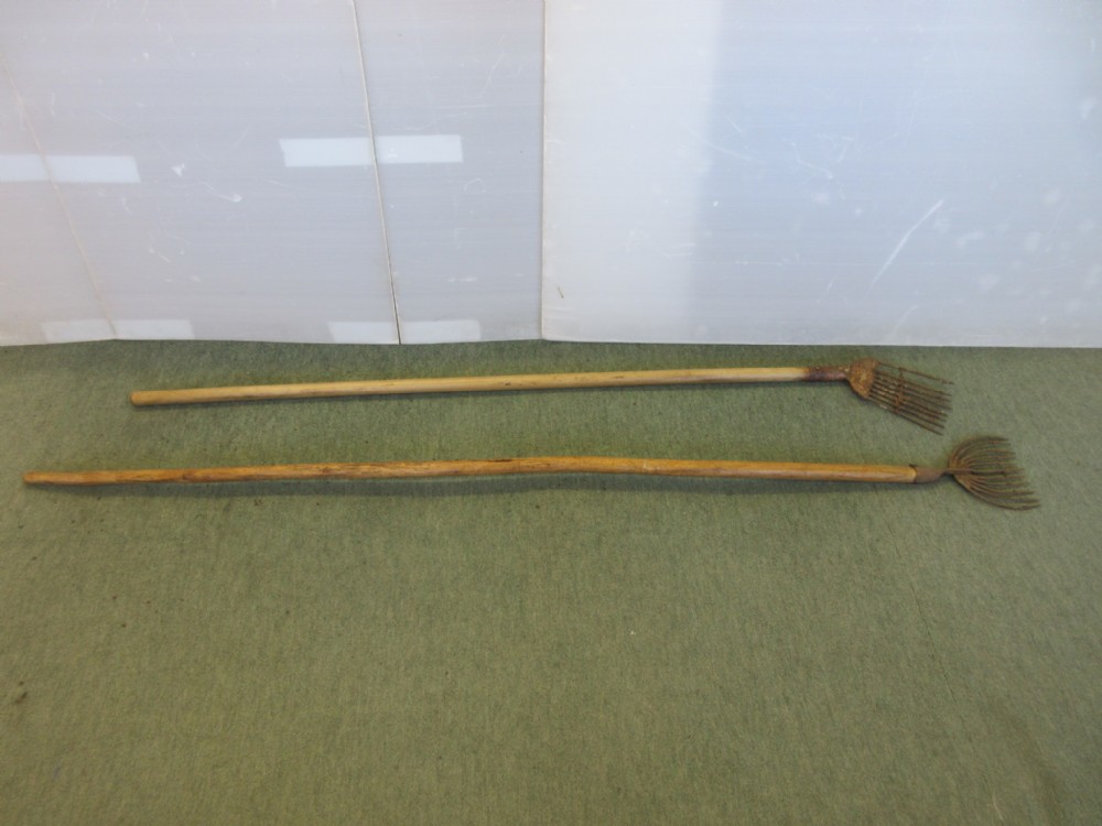 2 Eel Spears
