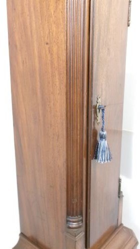 A slim mahogany granddaughter clock featuring a swan neck pediment hood, brass dial with spandrels, and an arched trunk door. View VI