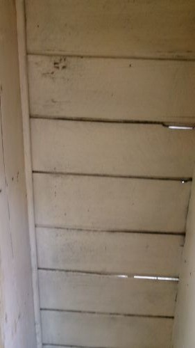 Antique Pine Original Scumble Huffer Cupboard View VII