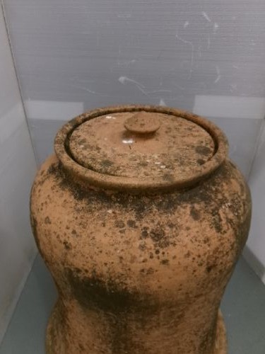 Terracotta Rhubarb Forcer By Curtis, Ripon Pottery circa 1920. View II