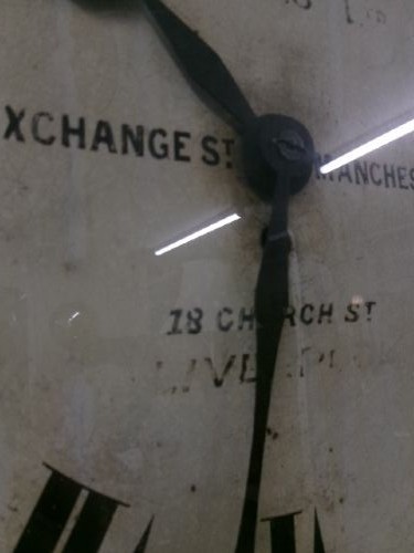 Alternate View