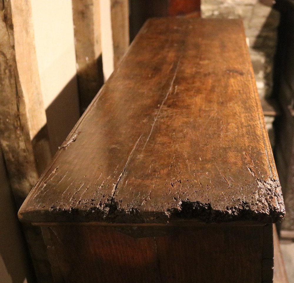 A dark brown carved oak chest featuring relief carvings of dragons, floral rosettes, and a central iron lock plate. View VIII