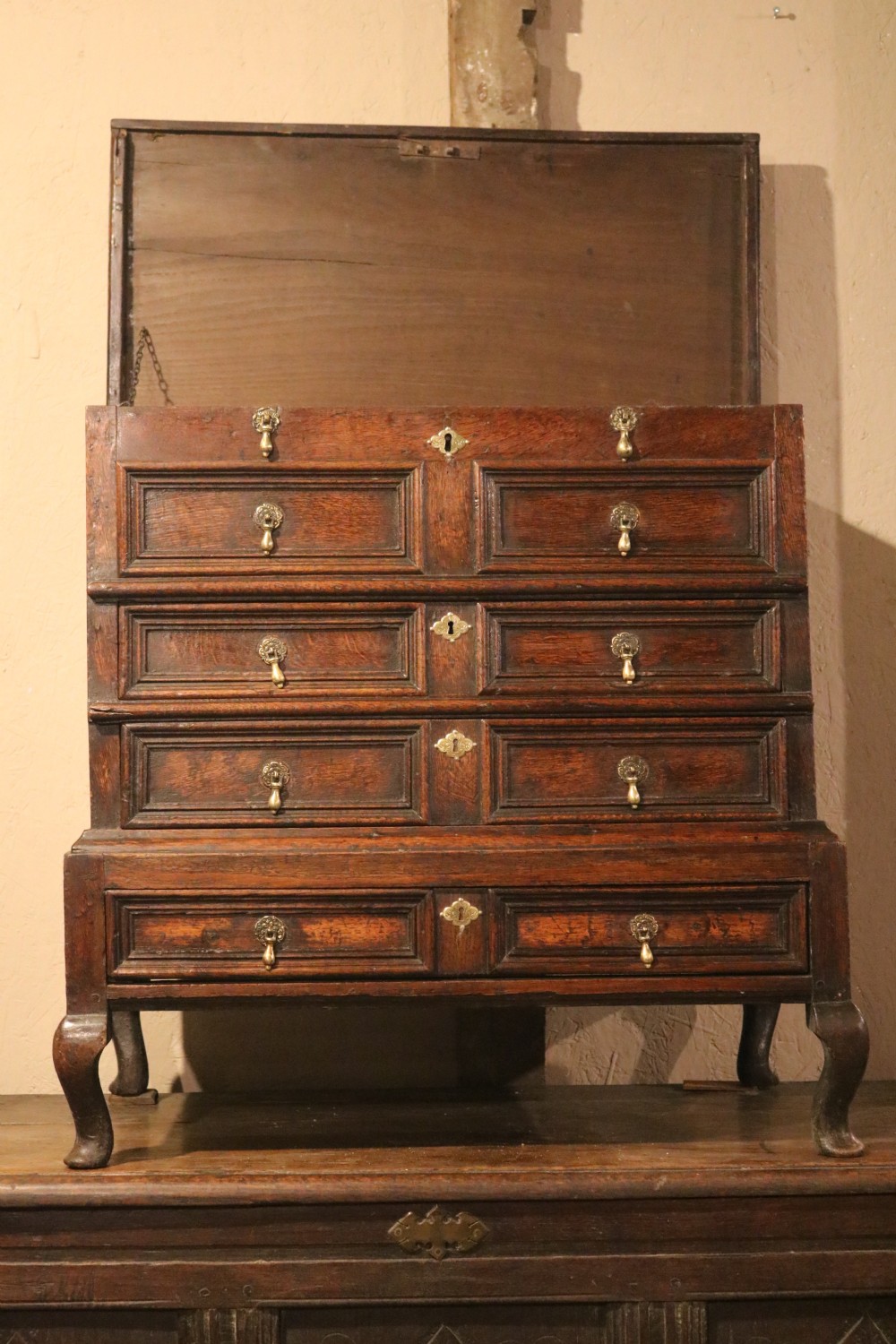 An eighteenth-century dark oak miniature tallboy chest featuring geometric panelled drawer fronts, brass tear-drop handles, and cabriole legs. View II