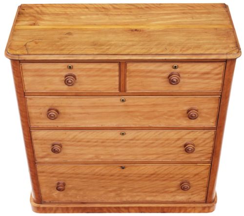 fig 1. Victorian satinwood walnut chest of drawers 