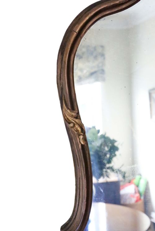 fig 1. 2-tone gilt full height wall floor mirror