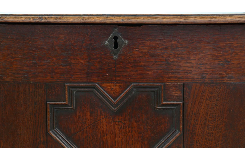 Georgian oak coffer View IV