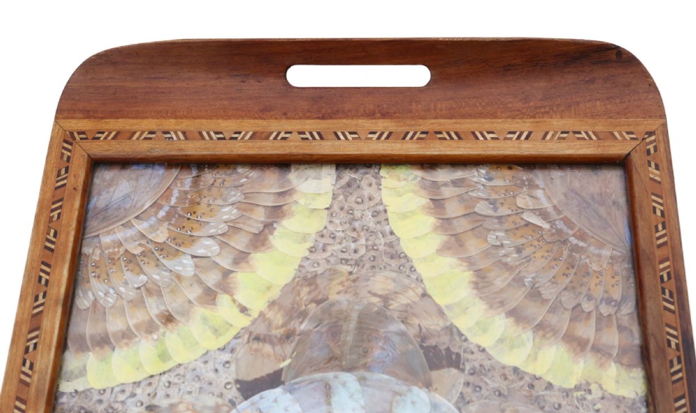 Inlaid tunbridge ware butterfly serving tray View III