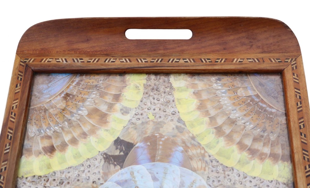 Inlaid tunbridge ware butterfly serving tray View IV