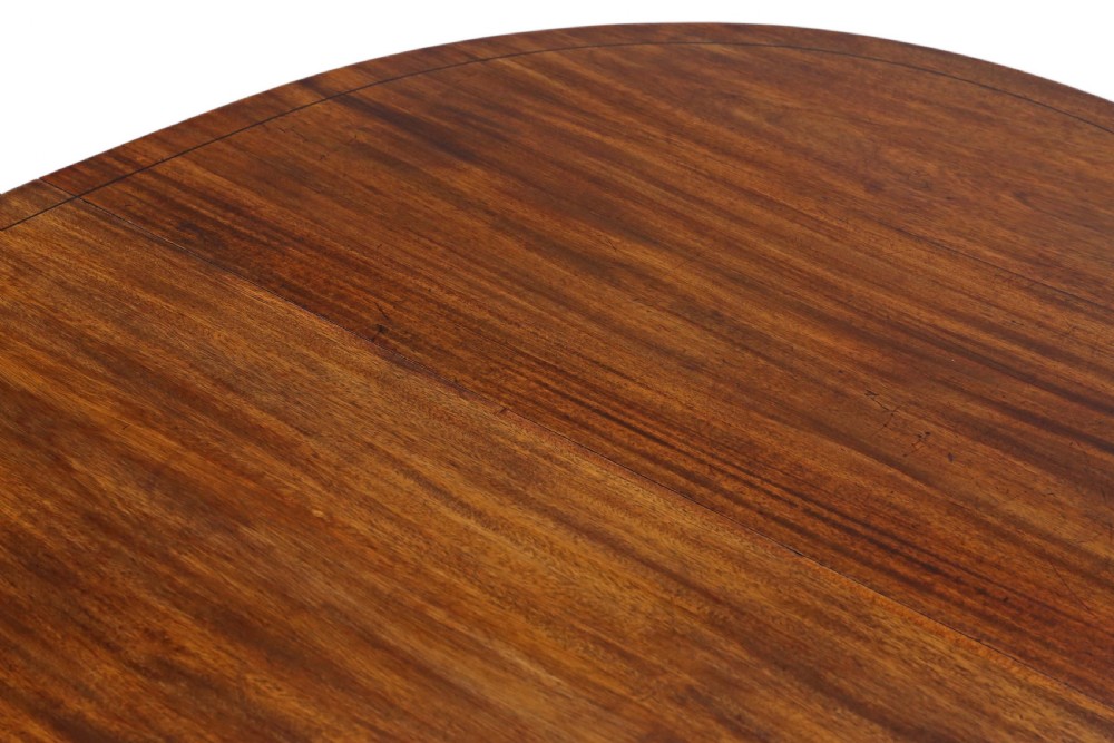 19th Century mahogany extending pedestal dining table View V