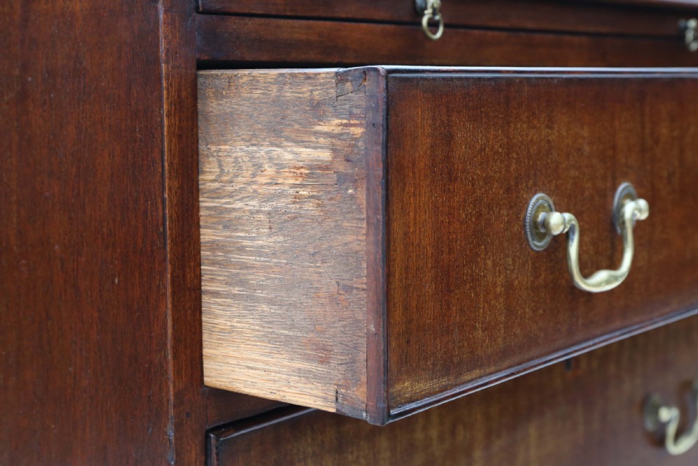 Antique small Georgian revival mahogany bachelor's chest of drawers C1910-20 View V