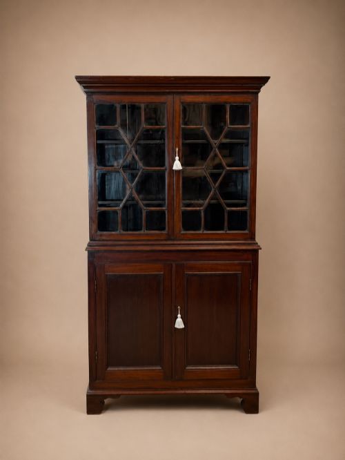 Antique 19th Century Slim Mahogany Bookcase