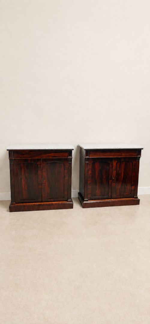 A Pair of Antique Regency Rosewood Cupboards