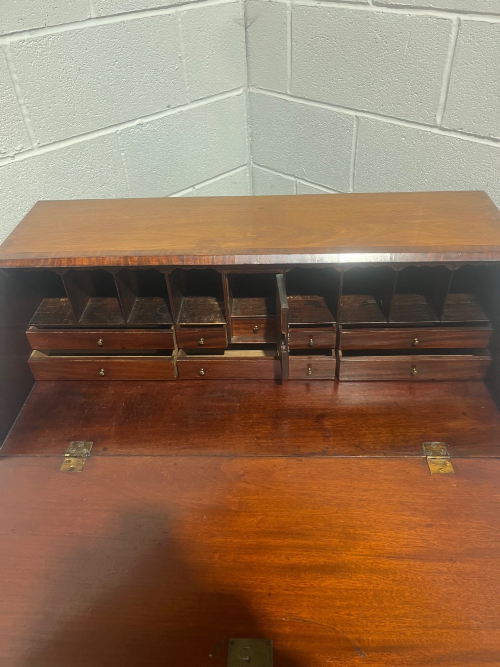 Alternate View