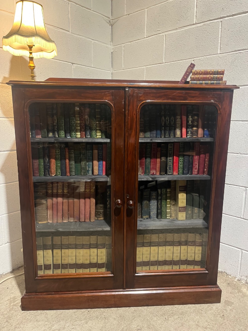 Alternate View