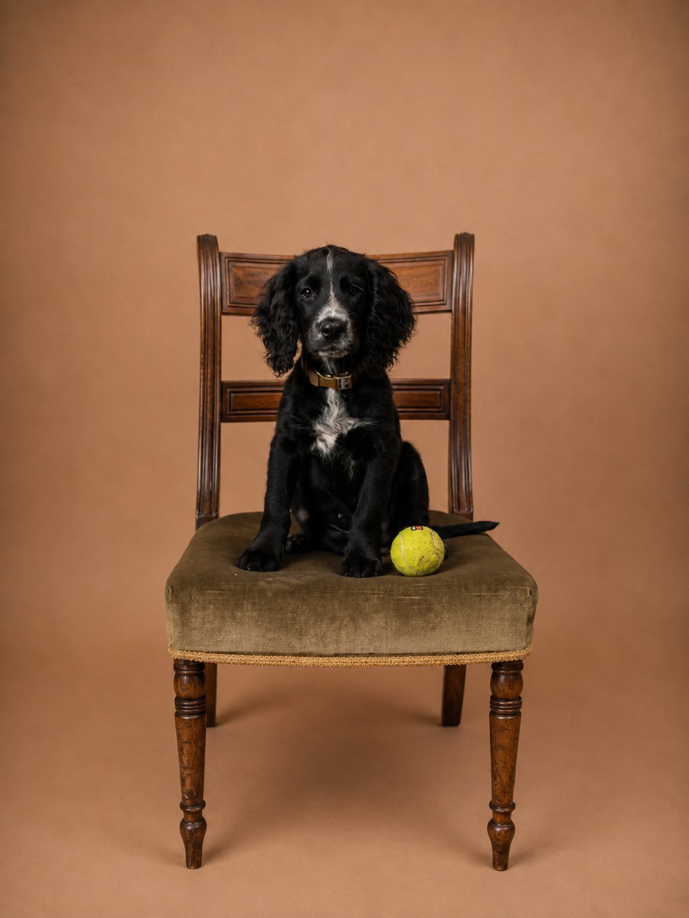 Set of six Regency mahogany dining chairs featuring horizontal bar backrests, green velvet seats, turned front legs, and splayed rear legs. View XI