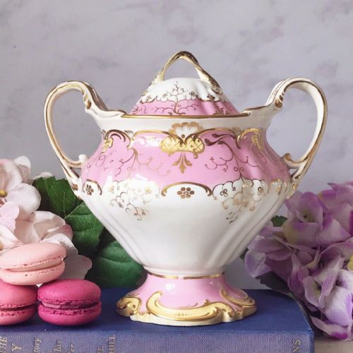 H and R Daniel Sutherland Shape Antique Porcelain Sucrier Sugar Box, Pink