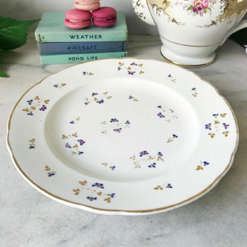Antique Early Derby Plate, C. 1806-1825, Small Blue Flowers and Gilt