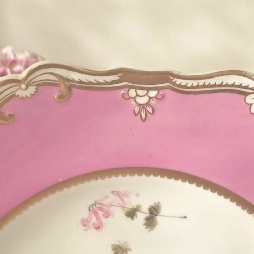 fig 1. Antique Spode Felspar pink floral handpainted cabinet dessert plate c.1820