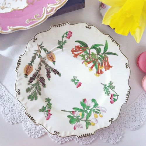 H and R Daniel Shrewsbury Shape Plate, Handpainted Flowers