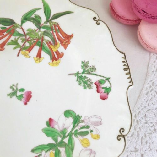 fig 1. H and R Daniel Shrewsbury shape plate, handpainted flowers